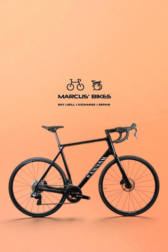 Canyon endurace axs - cf,