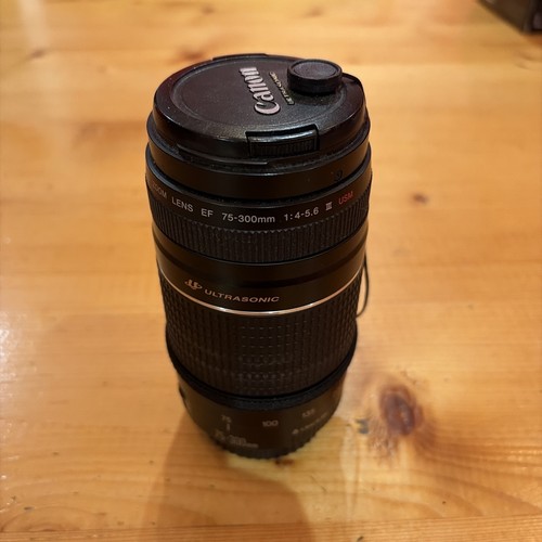 Canon 300mm 5 6 iii - f/4-5.6,