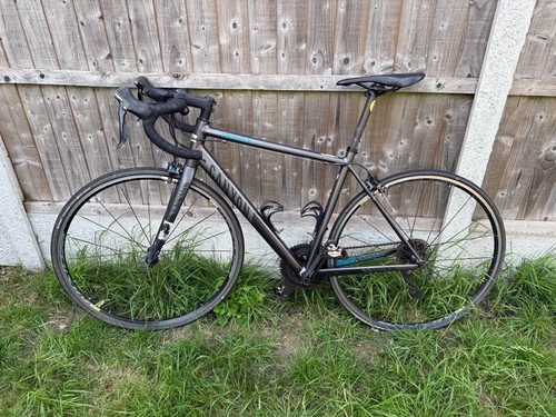 Canyon endurace road - endurace, bike